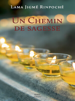cover image of Un chemin de sagesse